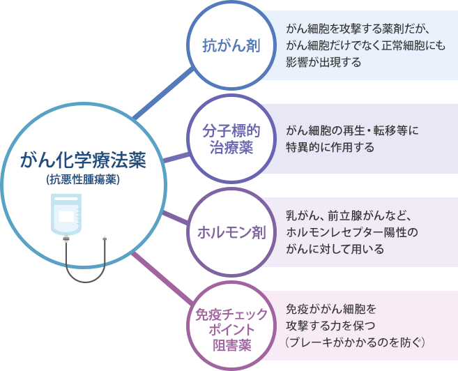 がん化学療法薬(抗悪性腫瘍薬)